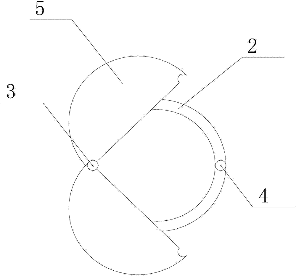 Spectroscopic technology based picking instrument for cinnamomum longepaniculatum fruit