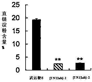 Method for cultivating soft rice by using transcriptional activation factor sample effector nuclease technology