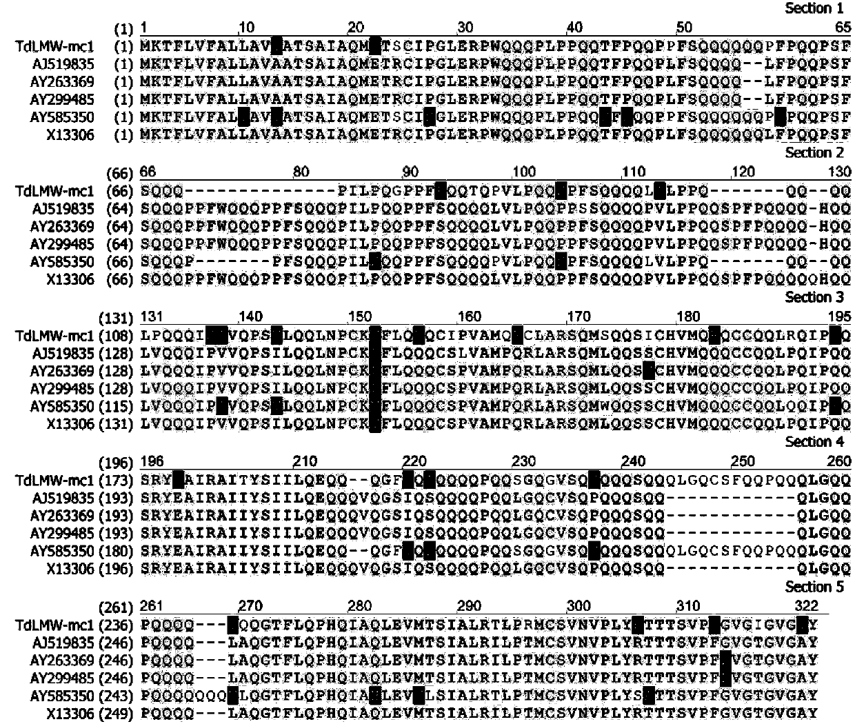 Low molecular weight glutenin subunit gene of triticum turgidum ssp.dicoccum, and protein encoded by the same