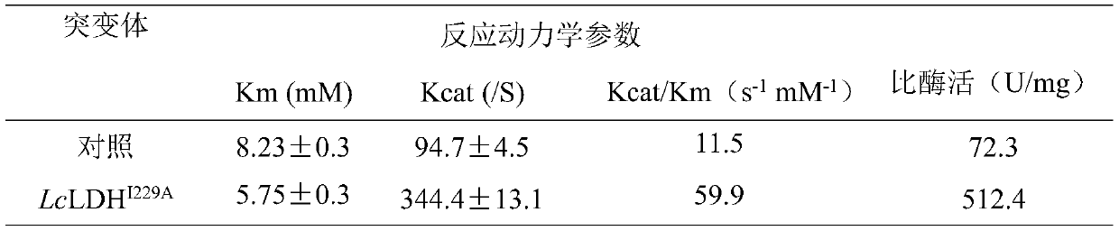 A kind of L-lactate dehydrogenase mutant with improved catalytic efficiency and its construction method