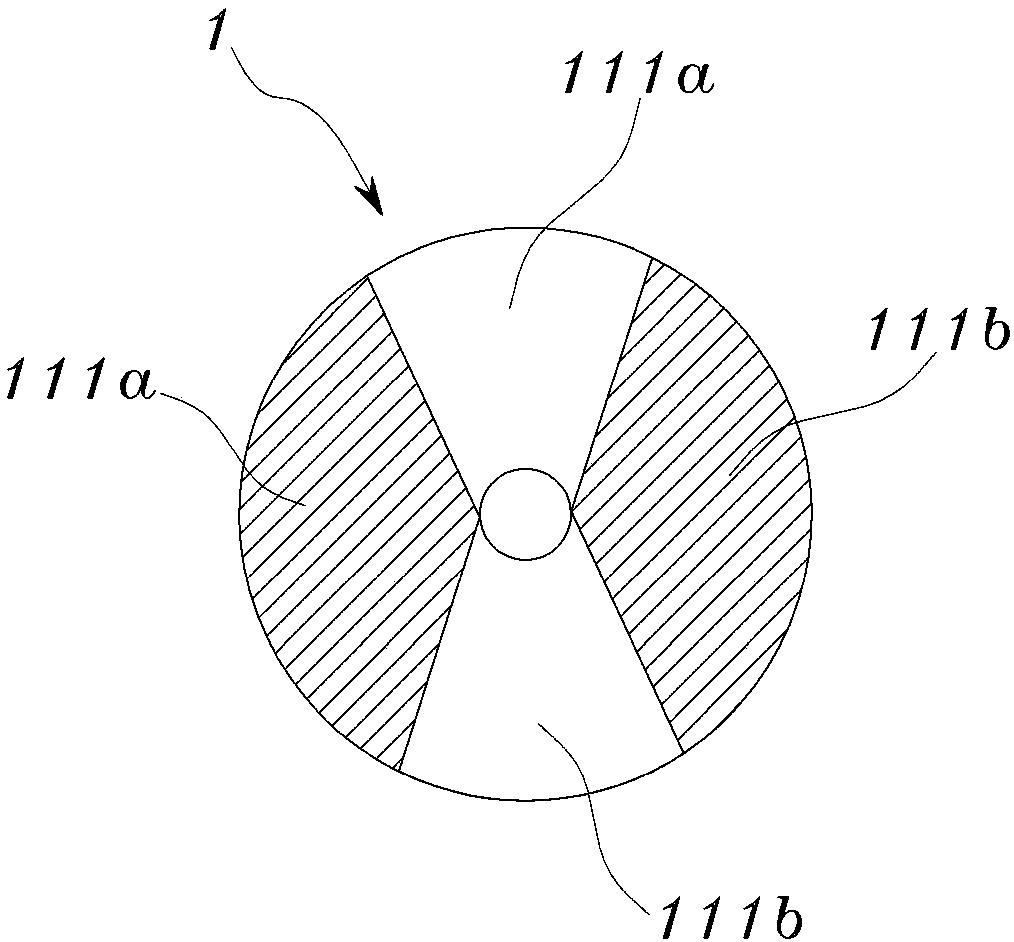Spring structure having multiple coil-shaped unit springs and method for manufacturing same