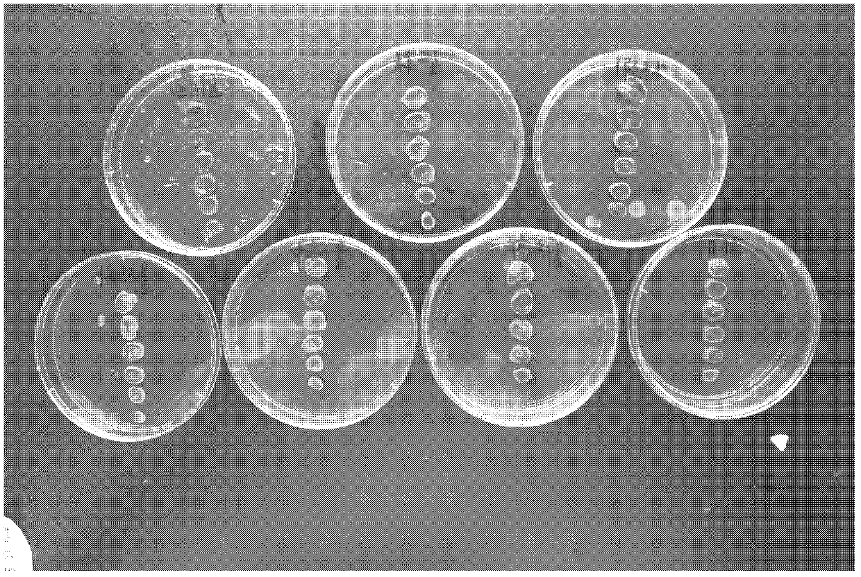 Chemical activity of natural compound, and use of natural compound