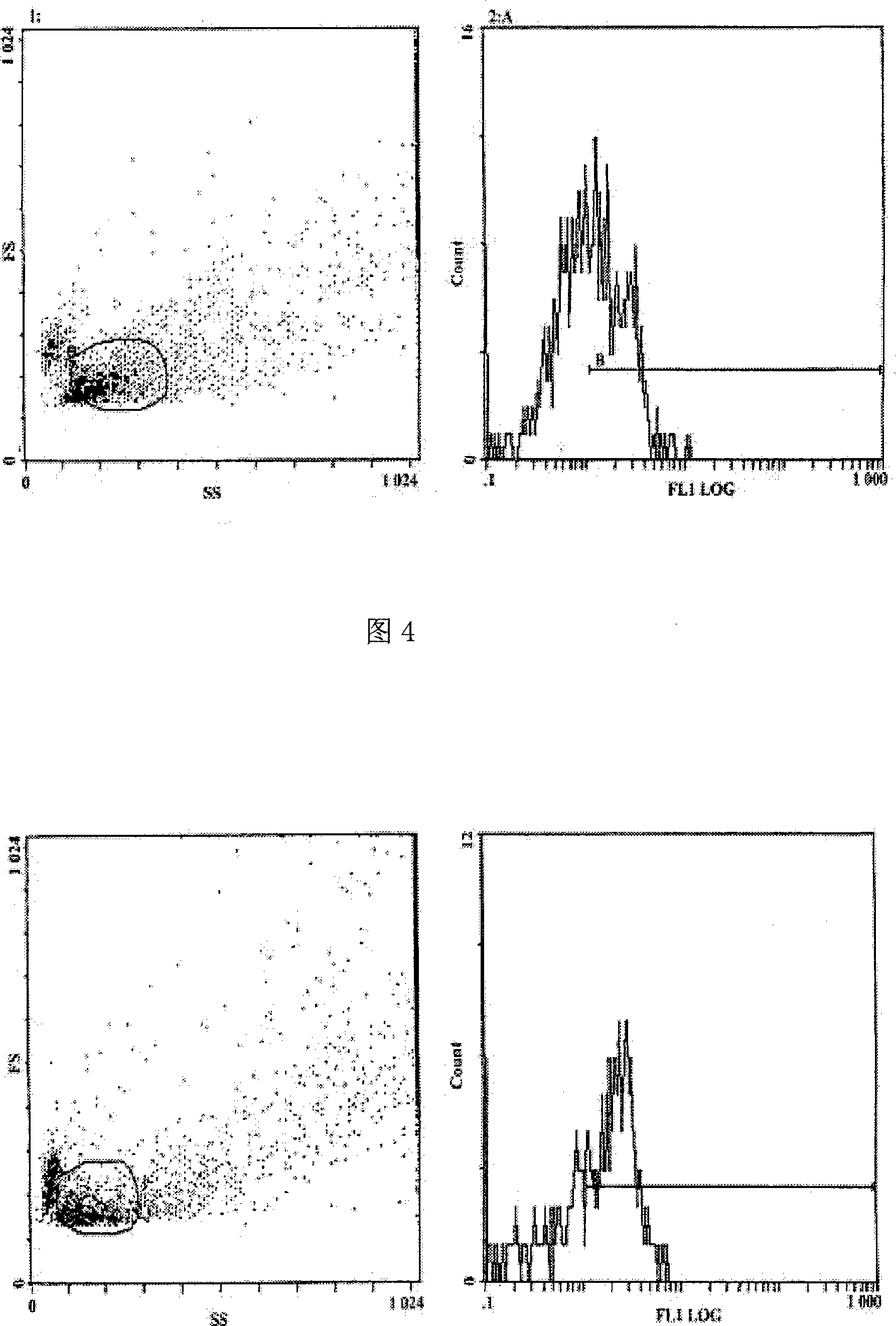 Human TCRVbeta7.1_H3F7 gene and its screening method and application