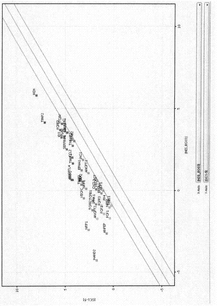 Induced malignant stem cells or pre-induction cancer stem cells capable of self-replication outside of an organism, production method for same, and practical application for same