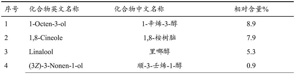 Method for extracting, purifying and detecting volatile oil of creeping rostellularia herb and application of volatile oil of creeping rostellularia herb