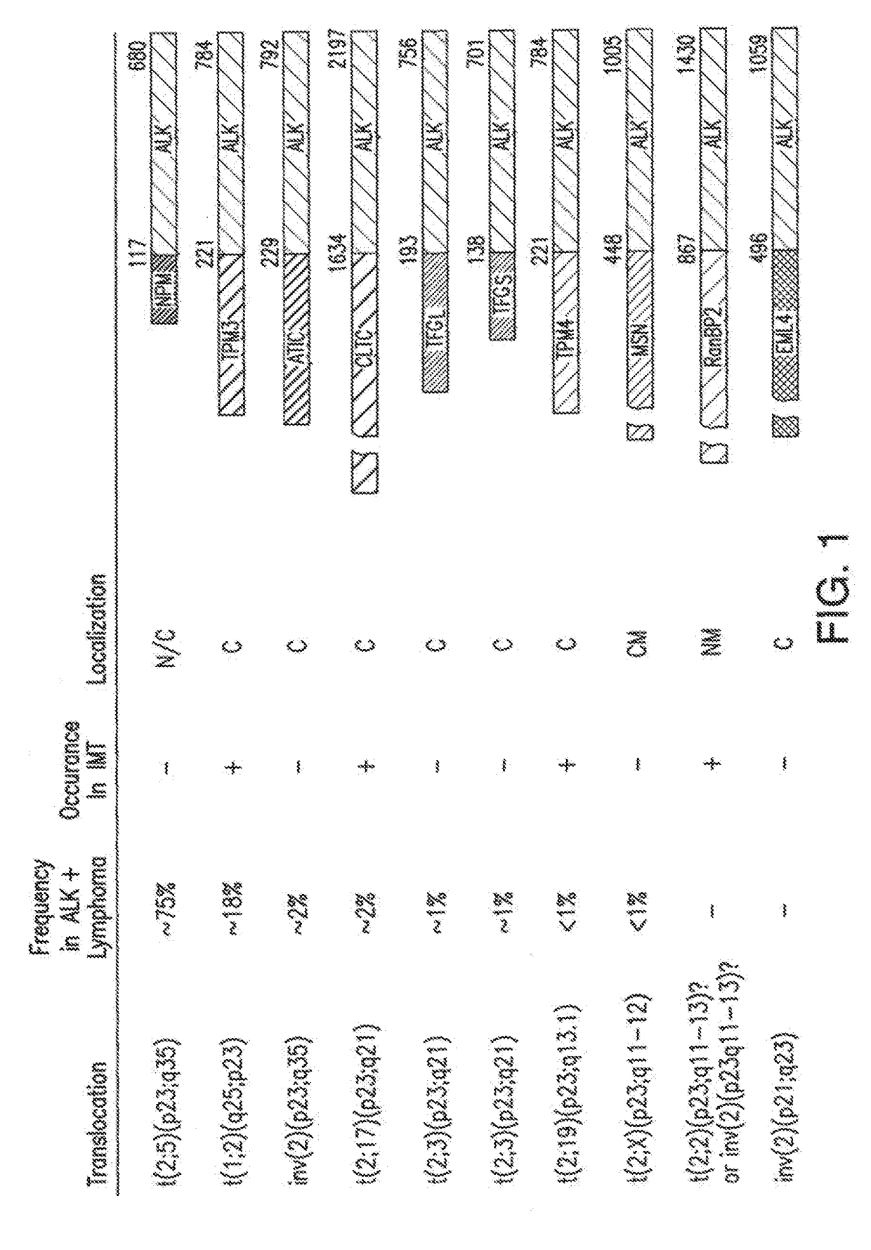 Methods and compositions relating to fusions of alk for diagnosing and treating cancer