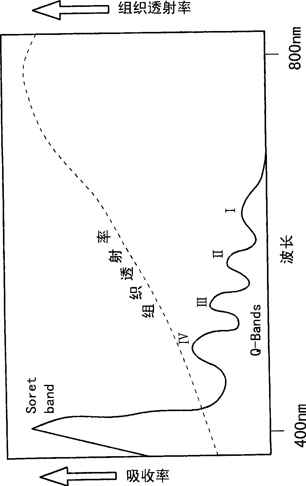 Radiation device for photodynamic therapy