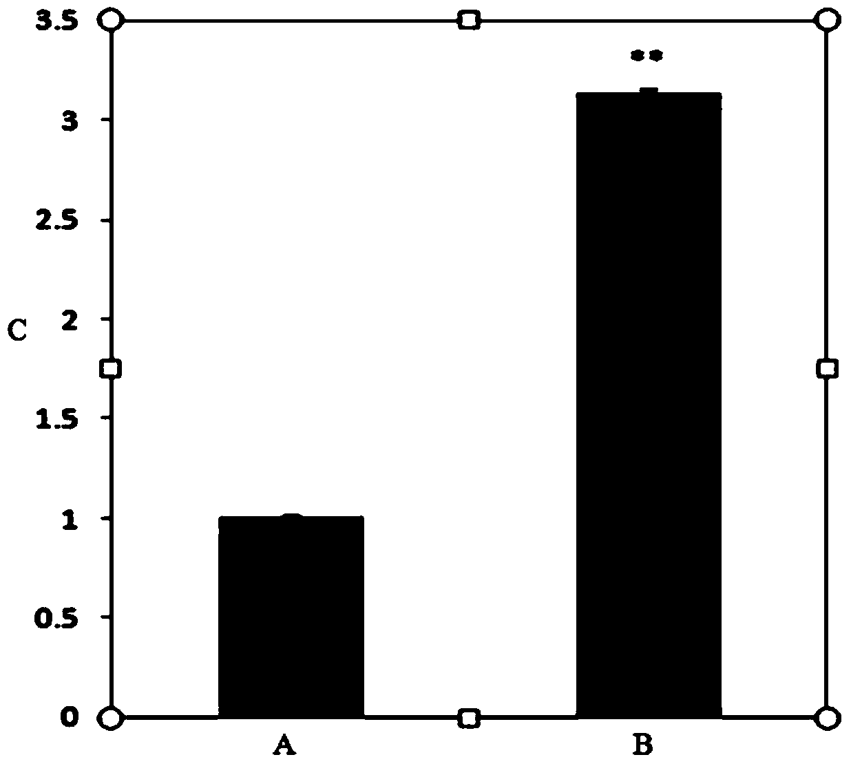 Application of gossypol acetate in pharmacy