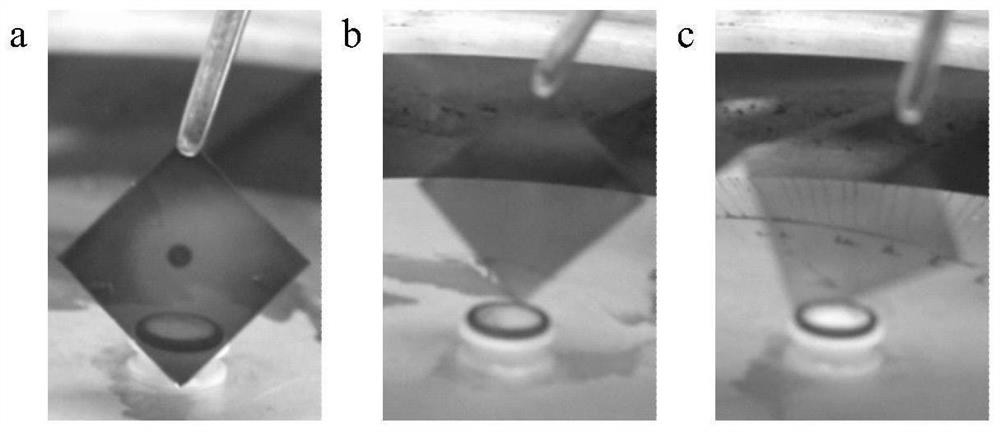 Preparation method and application of improved tin-based perovskite thin film