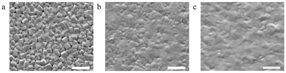 Preparation method and application of improved tin-based perovskite thin film