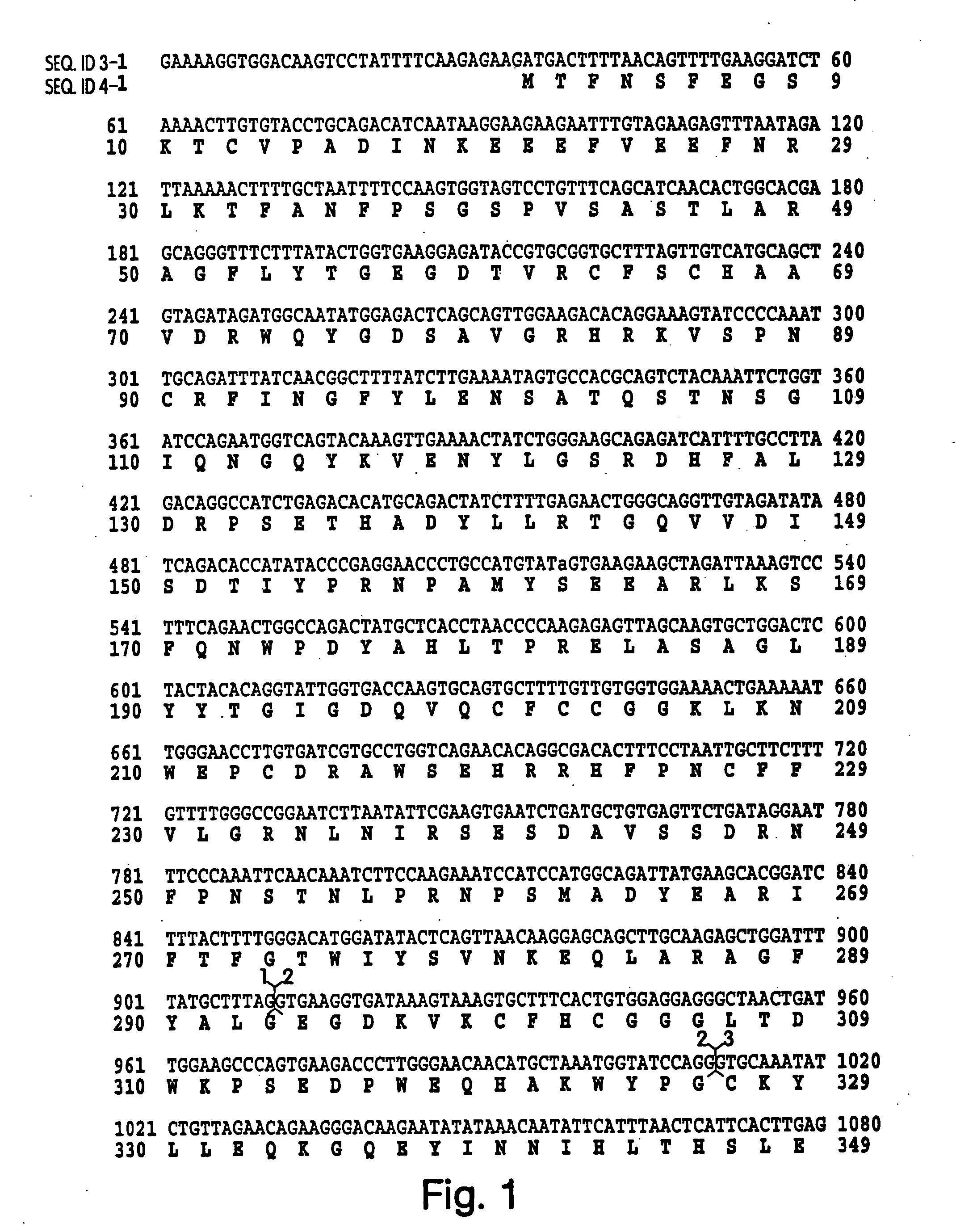 Detection and modulation of IAPS and NAIP for the diagnosis and treatment of proliferative disease