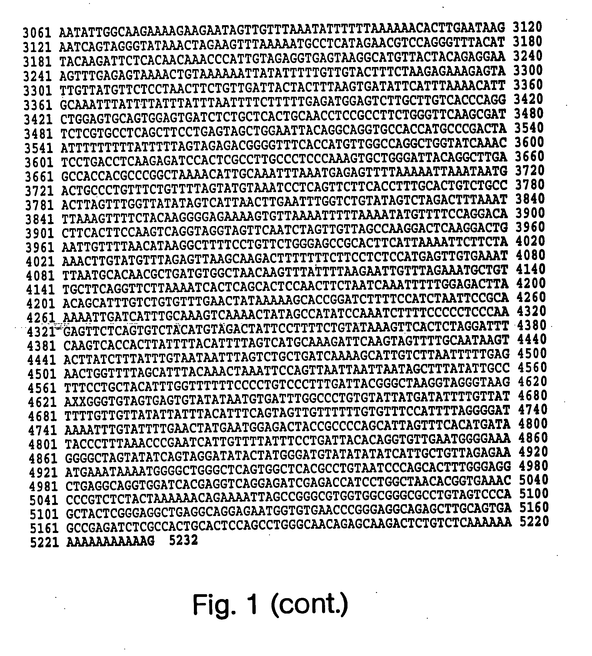 Detection and modulation of IAPS and NAIP for the diagnosis and treatment of proliferative disease