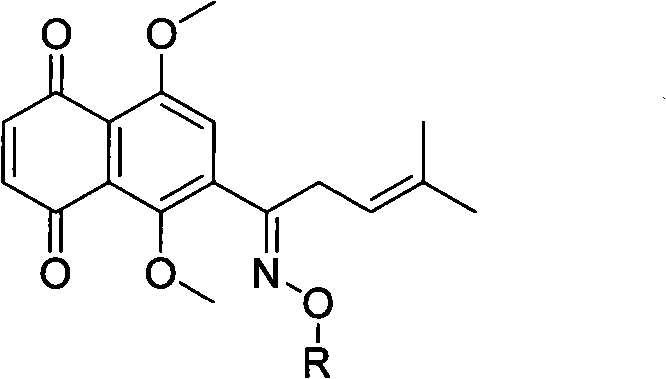 Antineoplastic alkanna tinctoria ketoximes derivatives