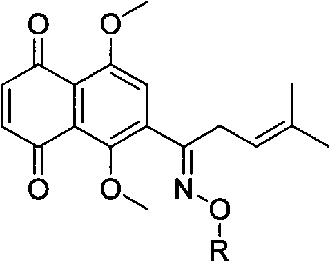 Antineoplastic alkanna tinctoria ketoximes derivatives