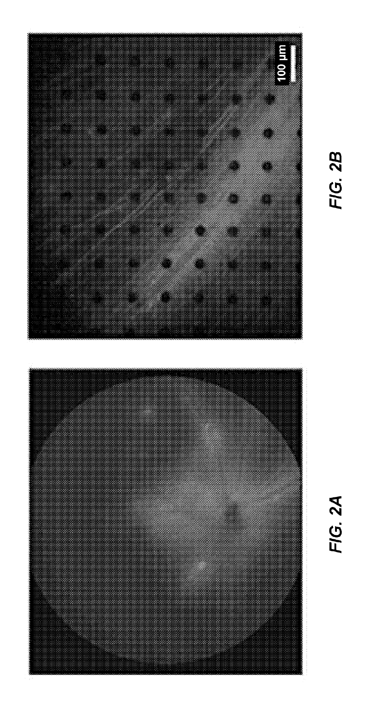 Optogenetic visual restoration using chrimson