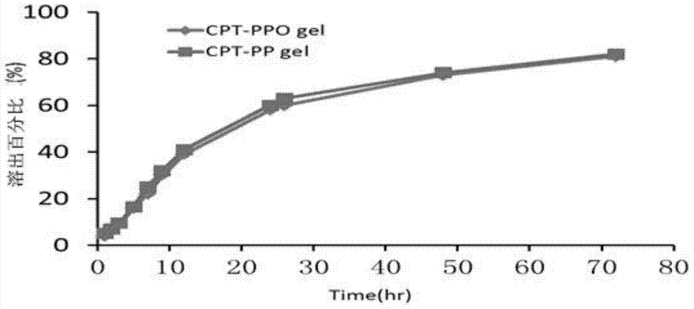 Camptothecin nano-gel