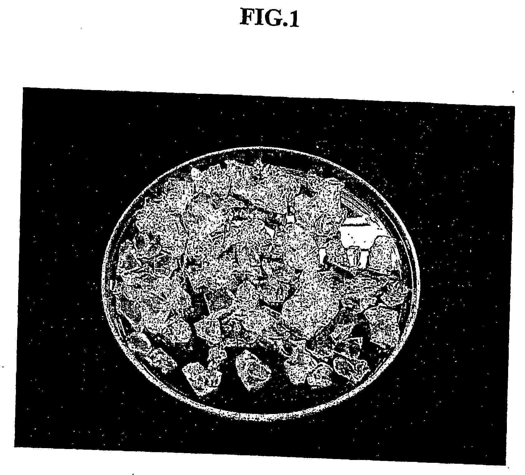 Method for fabricating a porous silica sphere