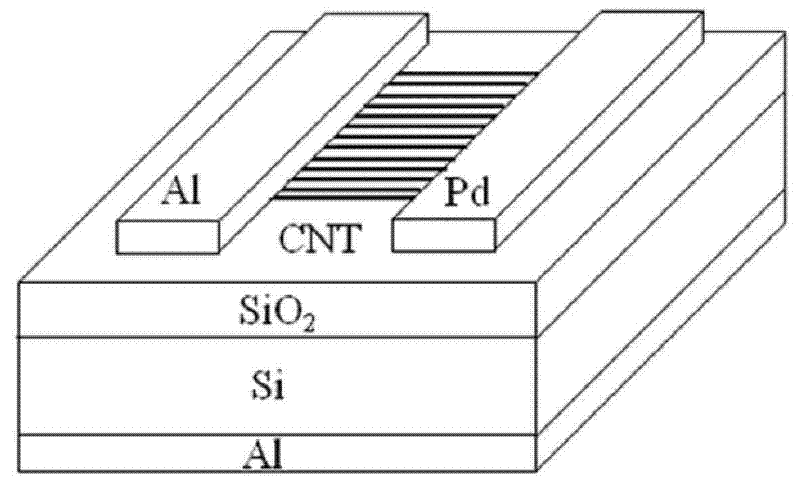 Preparation method of solar micro battery on basis of directional carbon nano tube