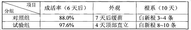 Preparation method of cave-applied fertilizer