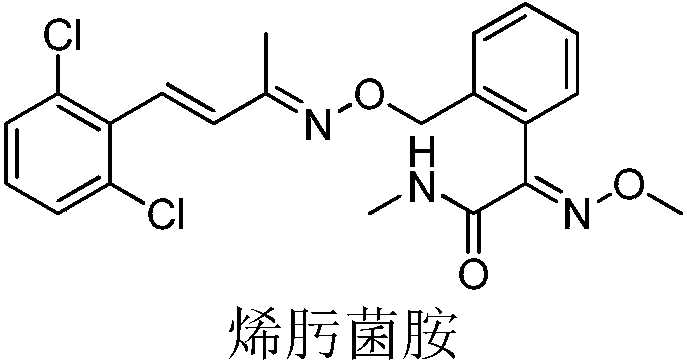 Unsaturated oxime ether compound preparation method