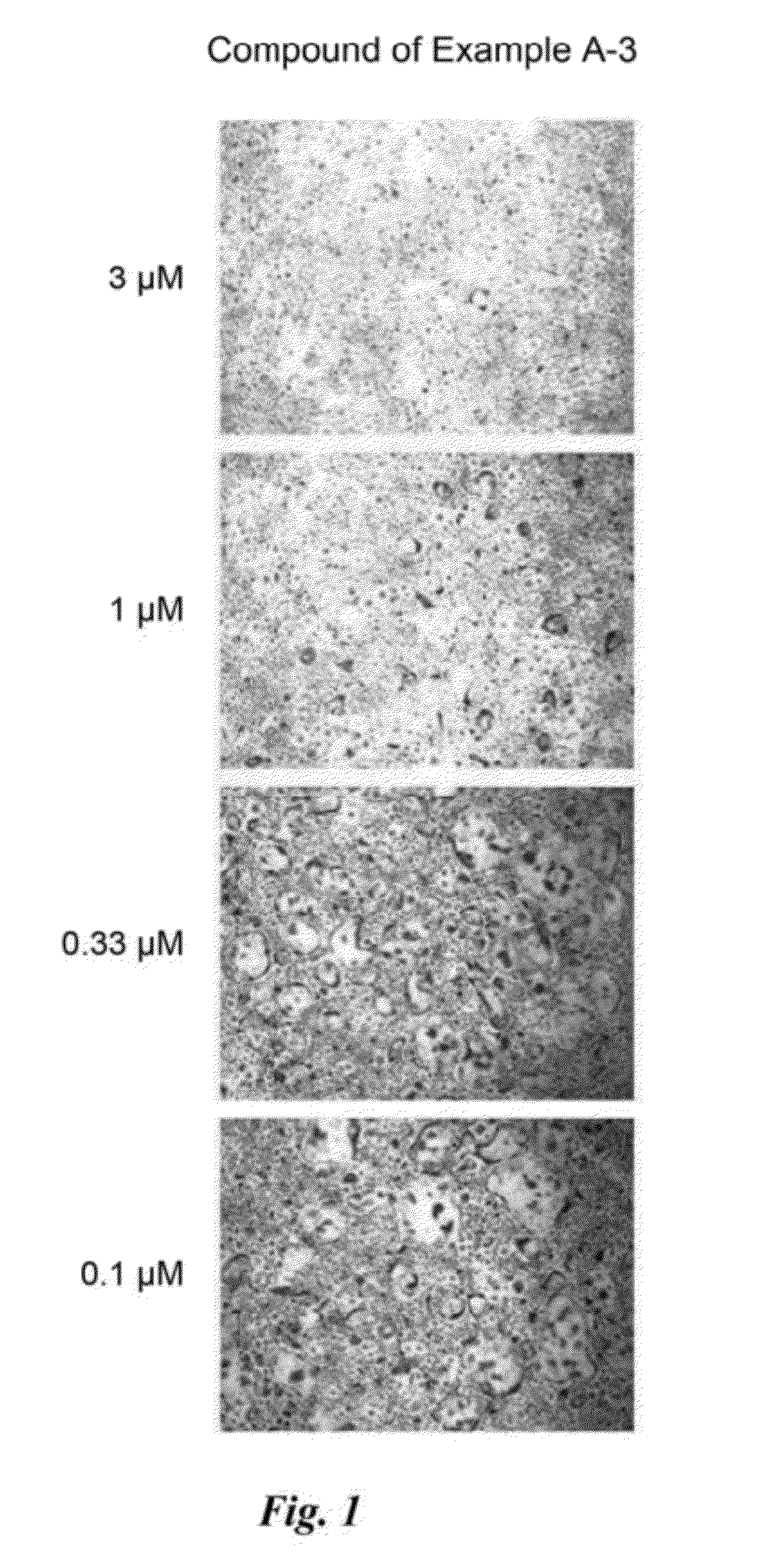 Pyrazole derivatives, preparation method thereof, and composition for prevention and treatment of osteoporosis containing same