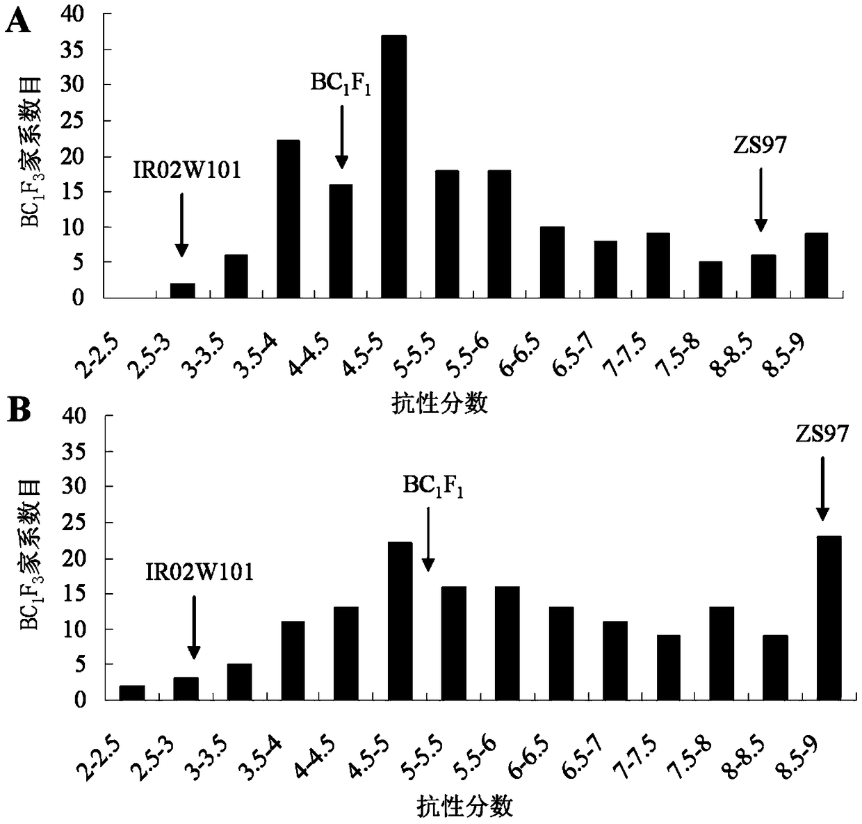 Molecular markers of rice resistance to brown planthopper qbph3 and qbph4 genes