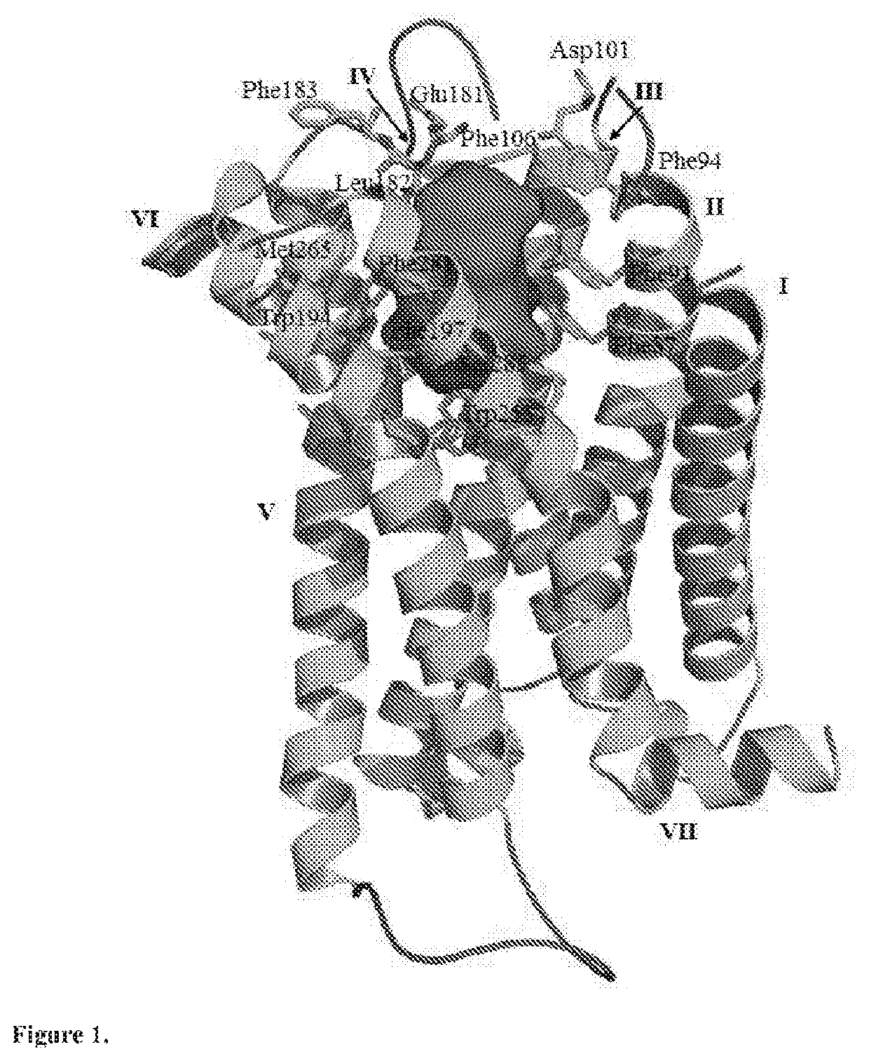 Cannabinoid receptor CB2 ligand 4-(aminomethyl)-N,N-dialkylanilines