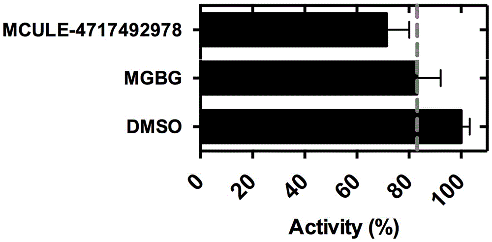 Application of small-molecule covalent inhibitor in preparing medicine for inhibiting S-adenosylmethionine decarboxylase and screening method