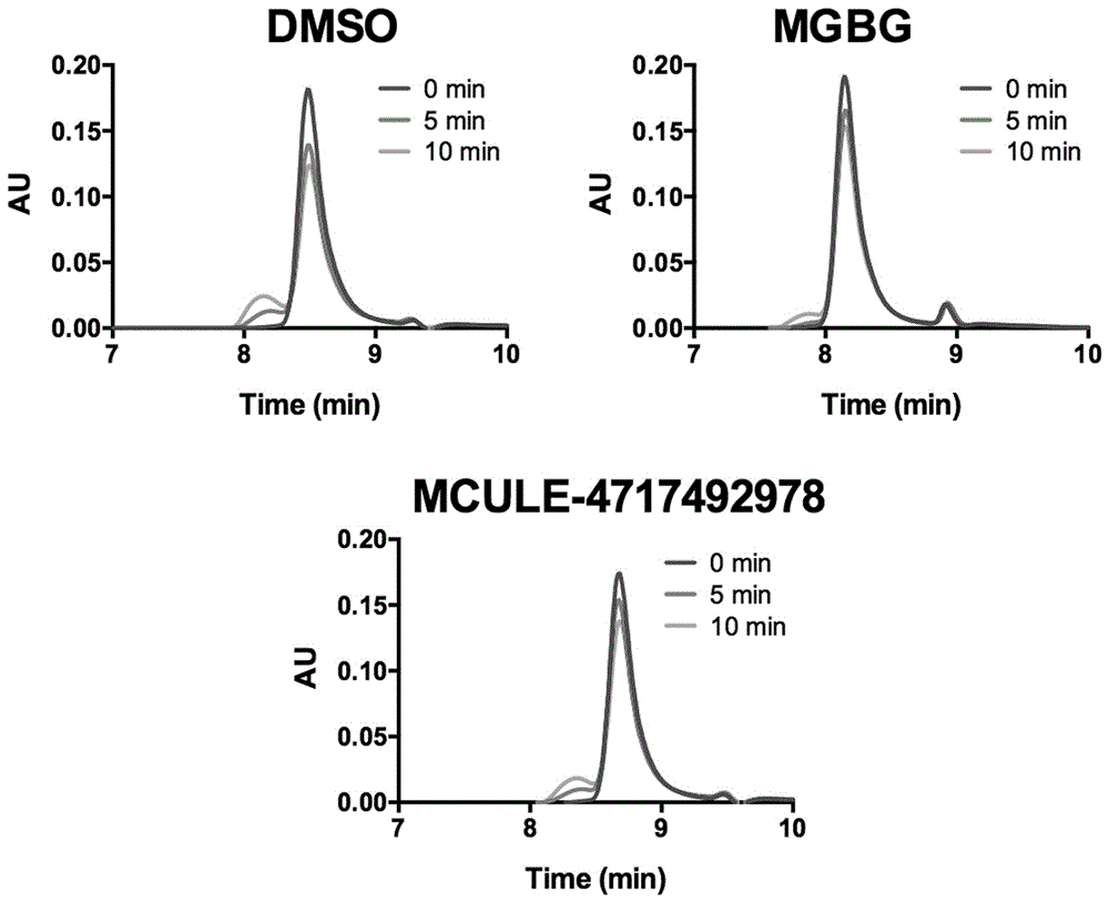 Application of small-molecule covalent inhibitor in preparing medicine for inhibiting S-adenosylmethionine decarboxylase and screening method