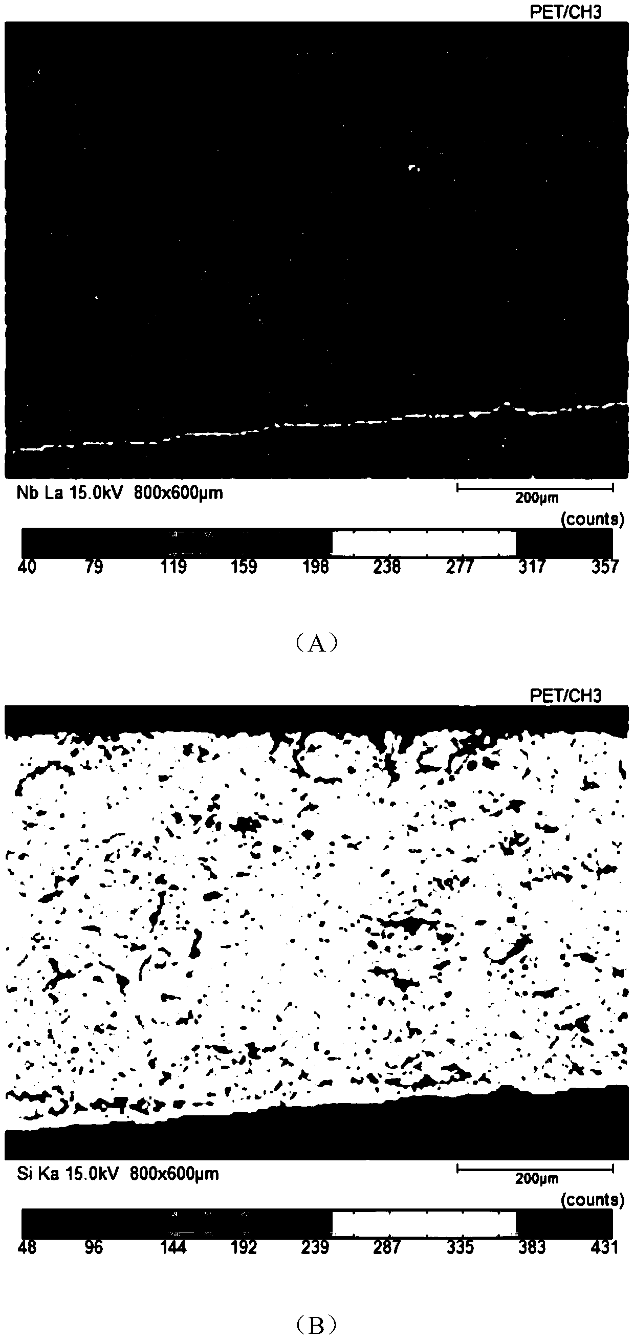 A high temperature resistant multi-component silicide coating on the surface of niobium alloy and its preparation method