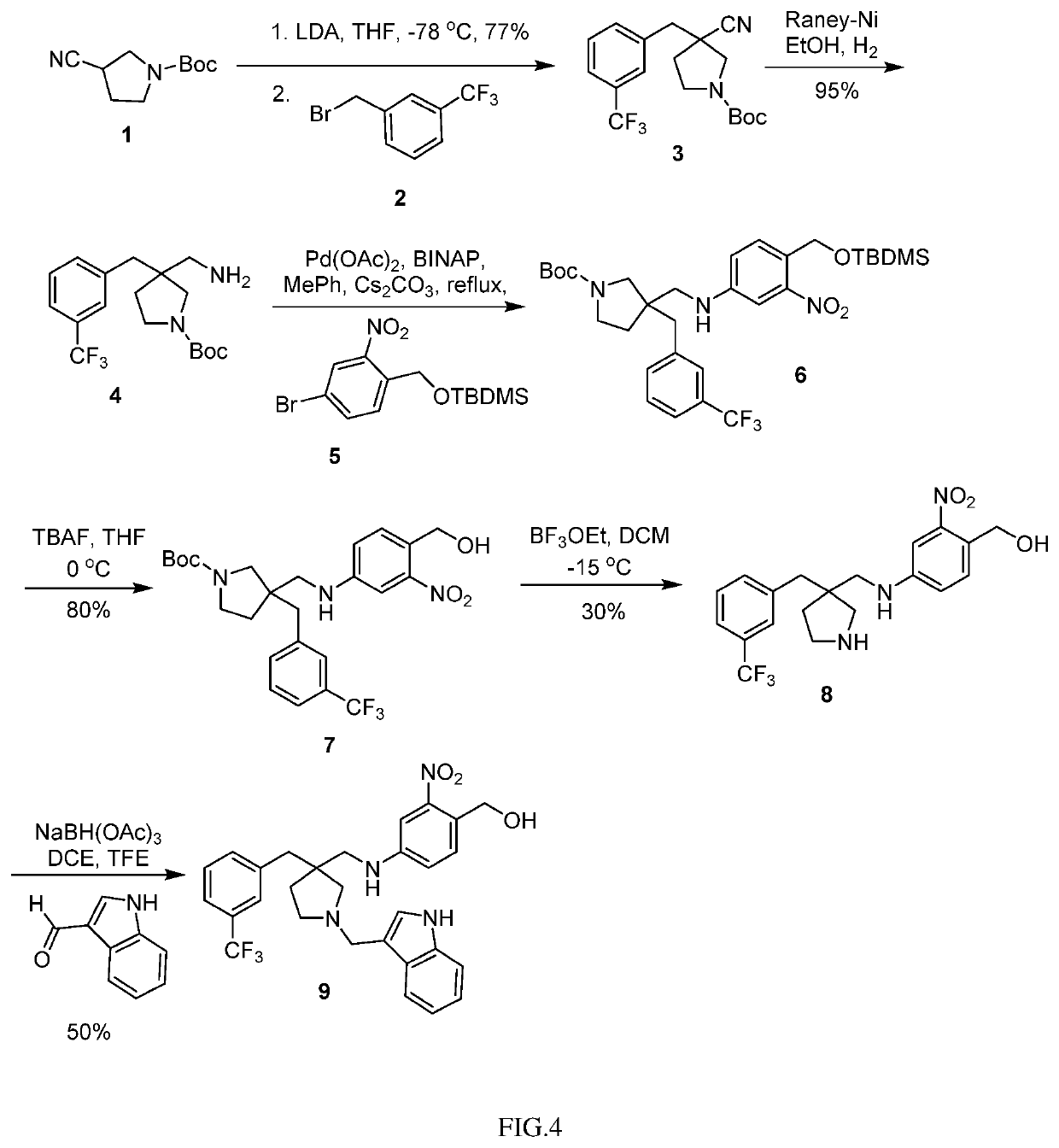Compositions and methods for treating schistosoma infections