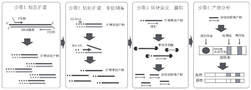 Nucleic acid testing test kit, method and application thereof