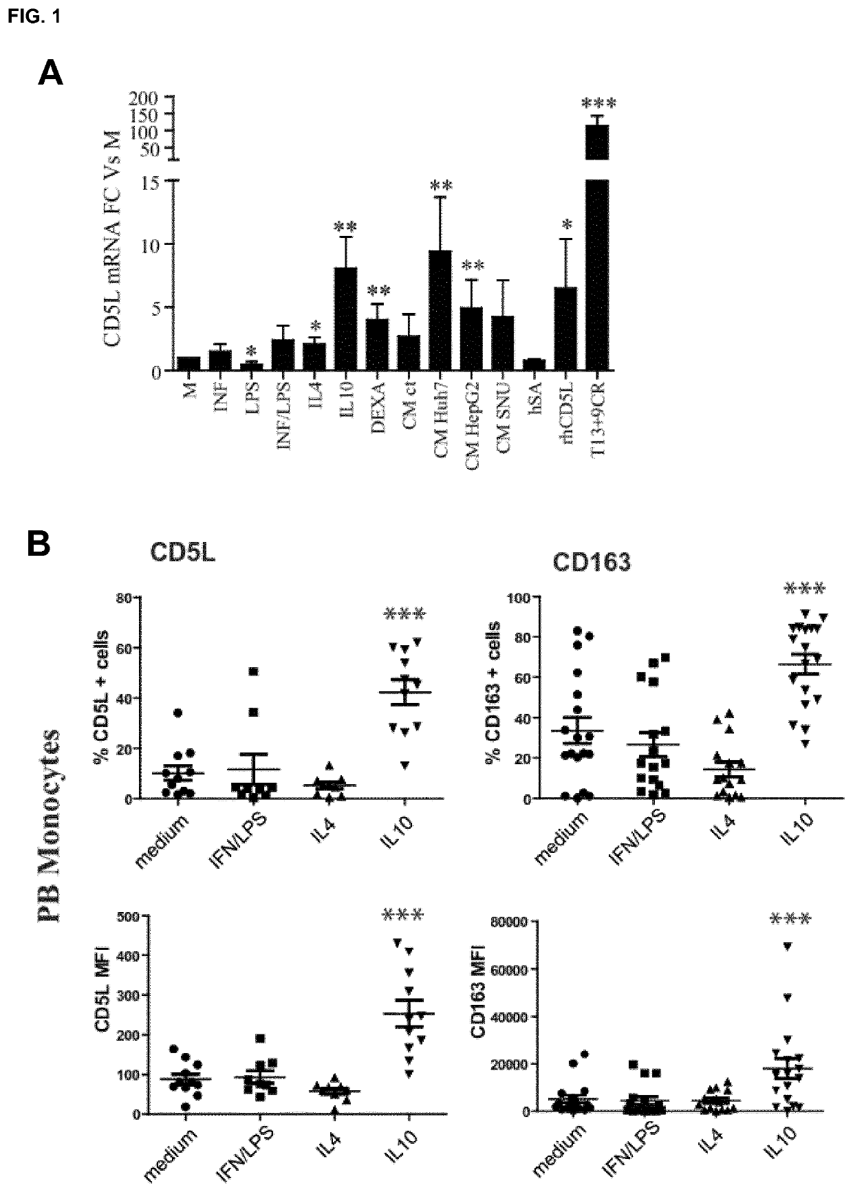 Anti-cd5l antibody and uses thereof