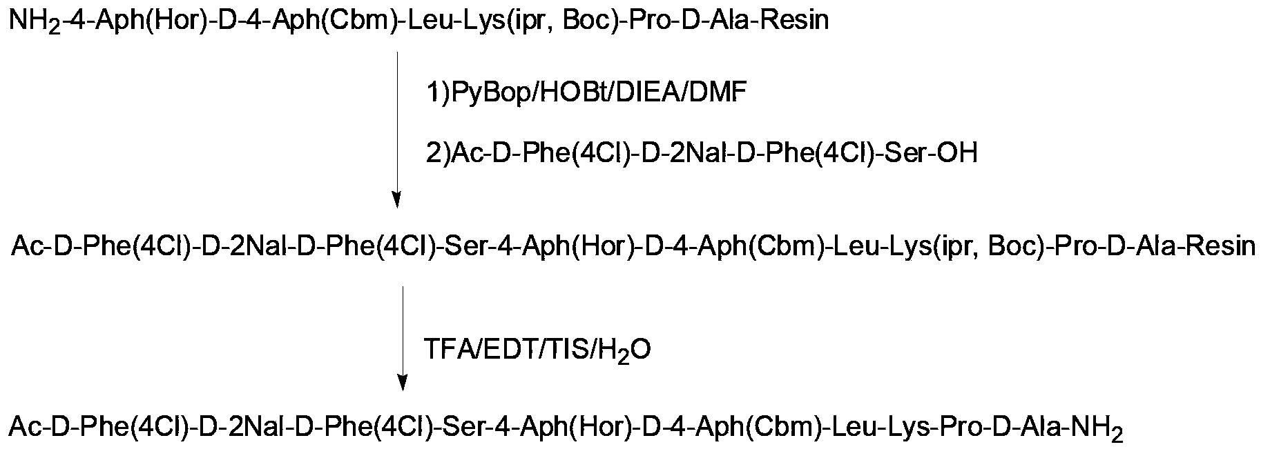 Synthesis of degarelix by solid phase segment method