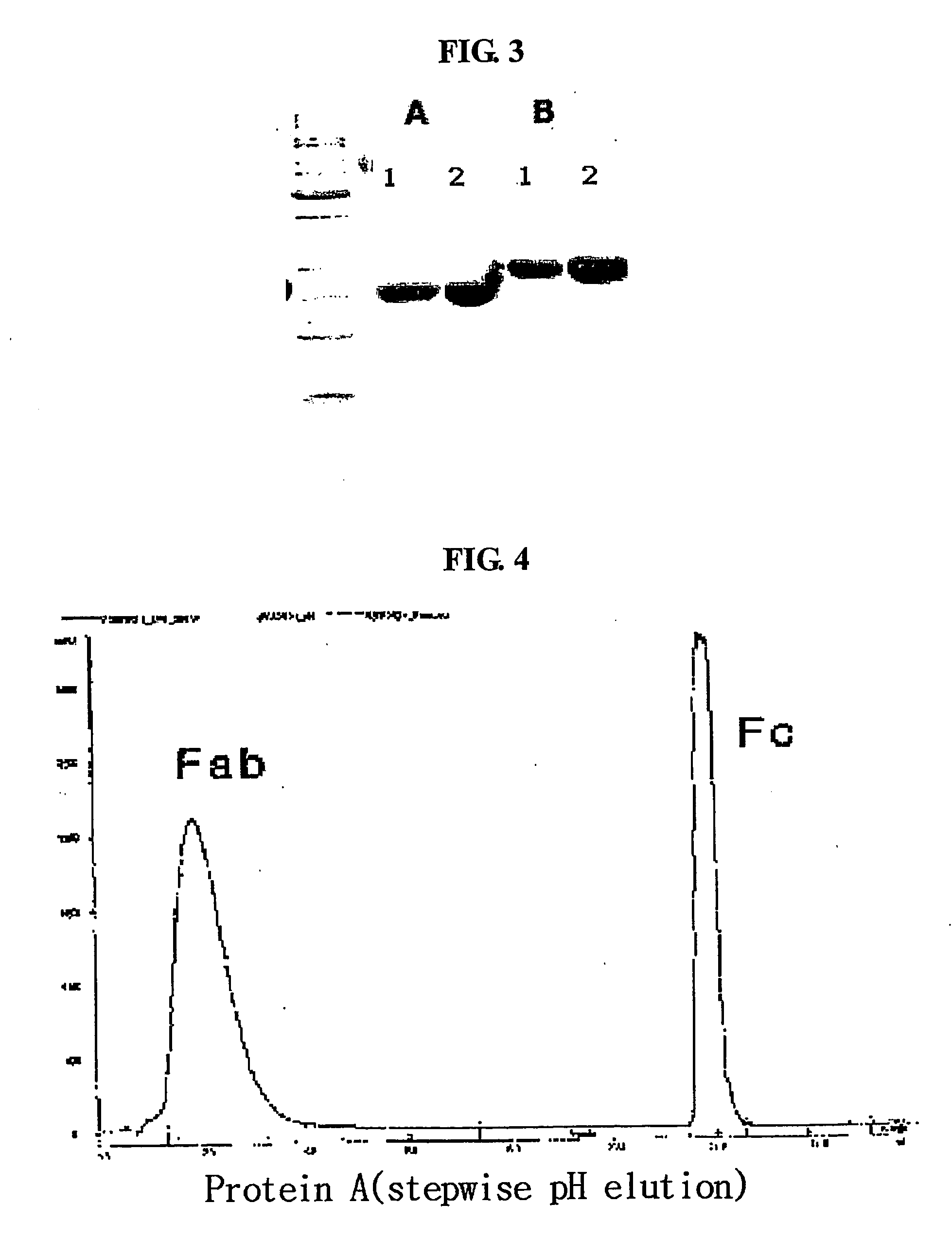 Igg fc fragment for a drug carrier and method for the preparation thereof