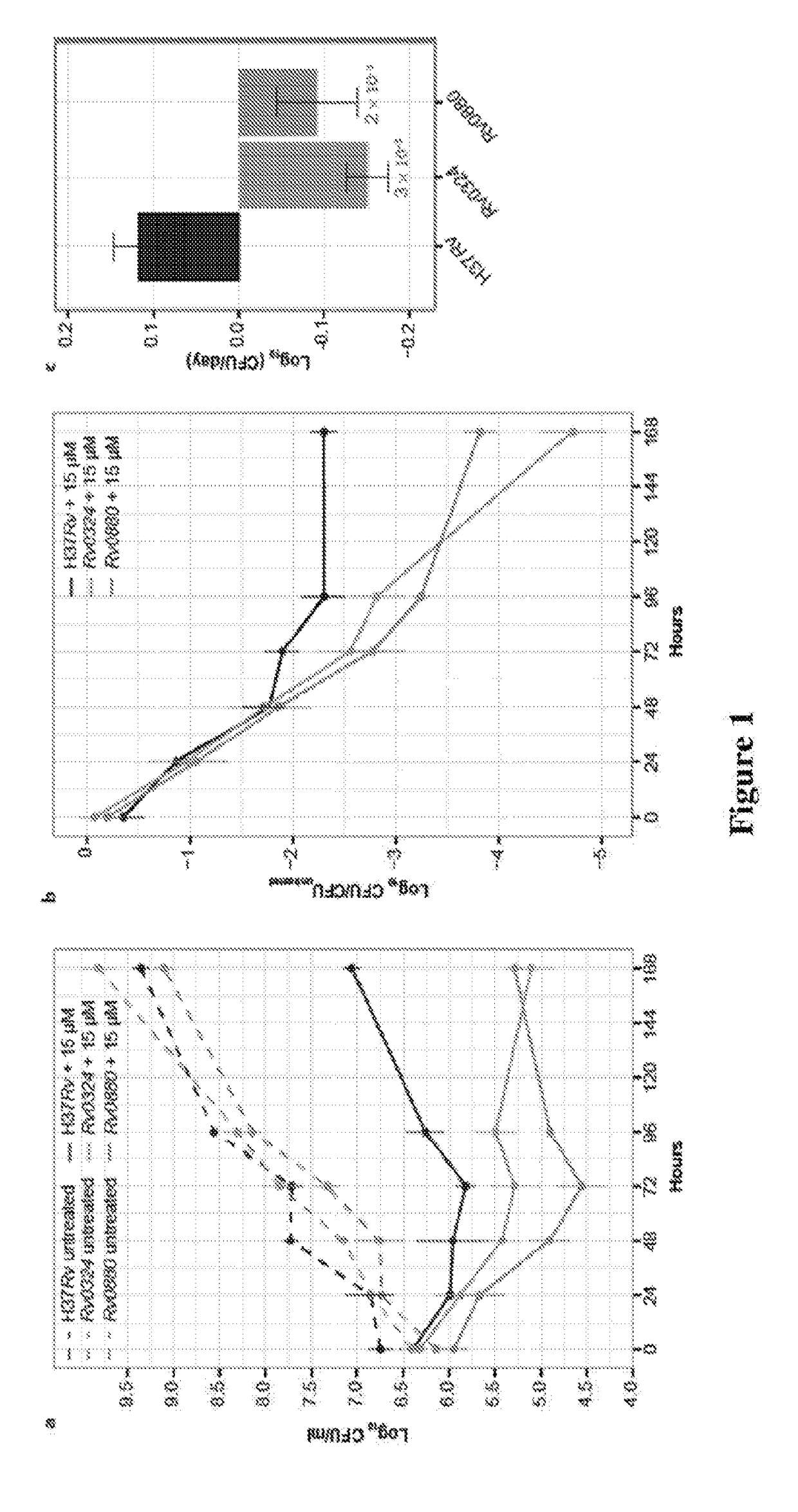 Methods to identify antituberculosis compounds