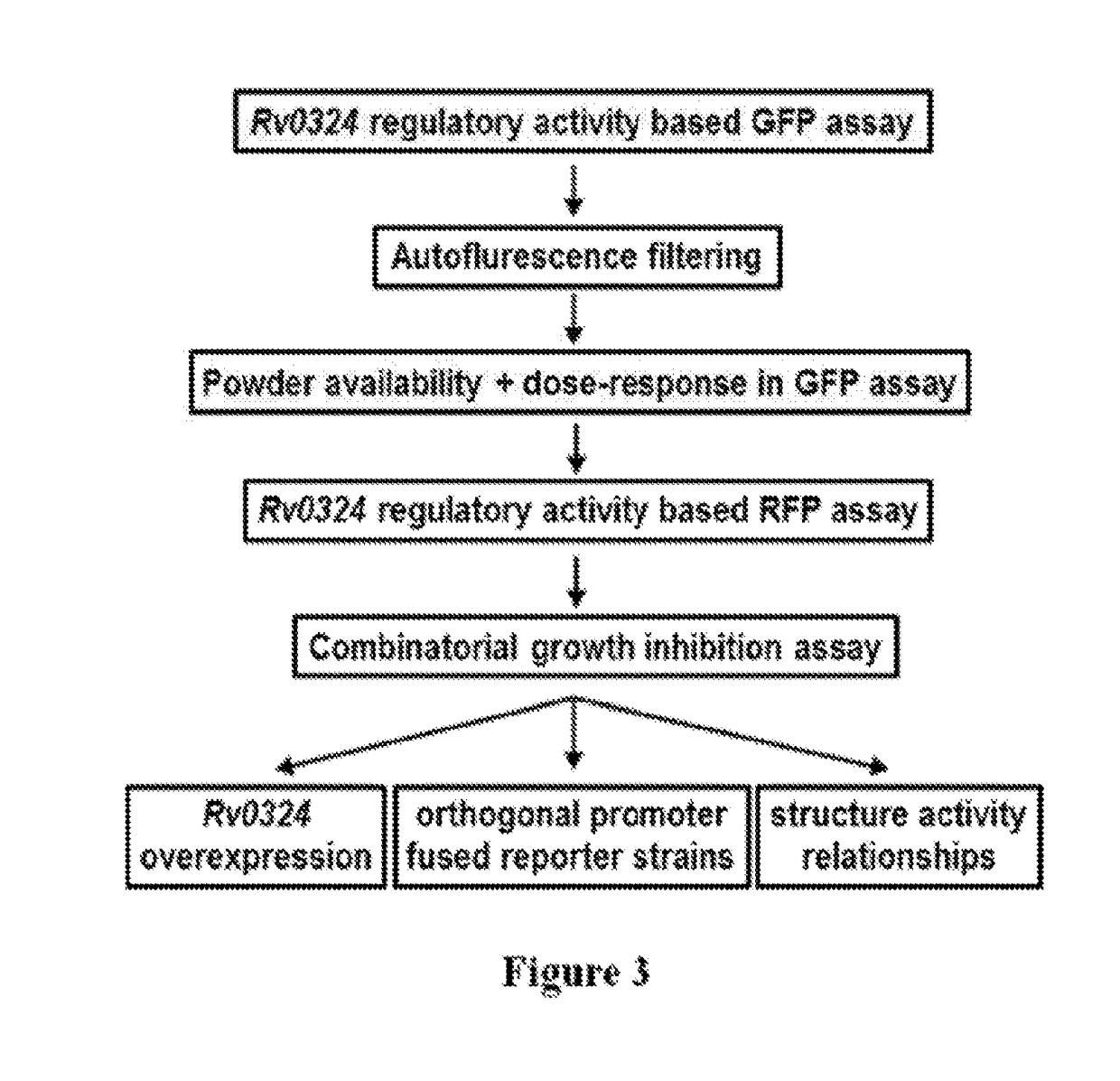 Methods to identify antituberculosis compounds