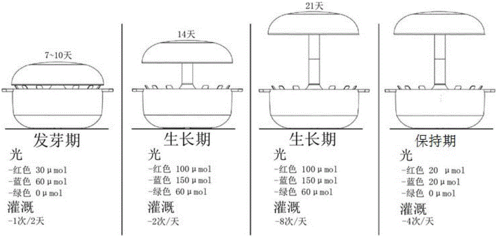 Hydroponic indoor gardening method