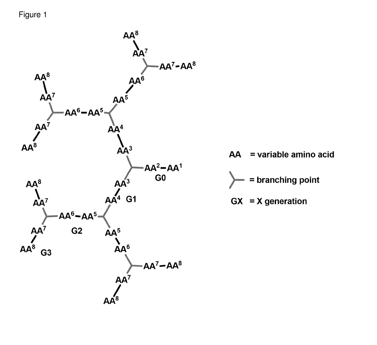 Antimicrobial peptide dendrimers