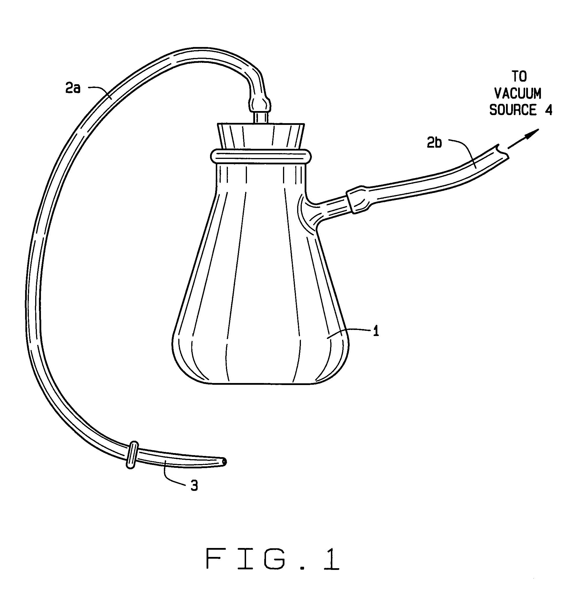 Method for excision of plant embryos for transformation