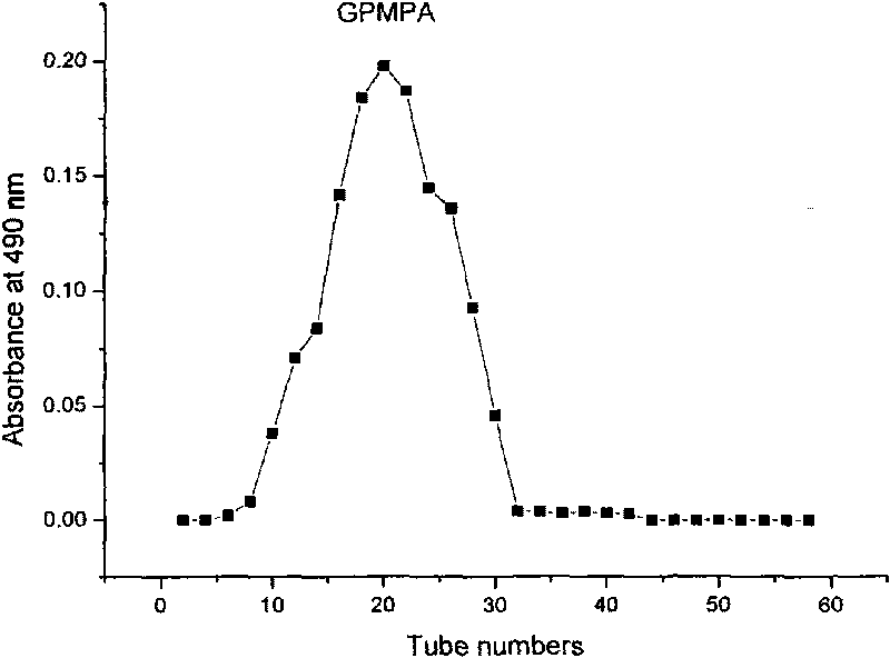 Method for preparing neutral polysaccharide from gynostemma pentaphylla