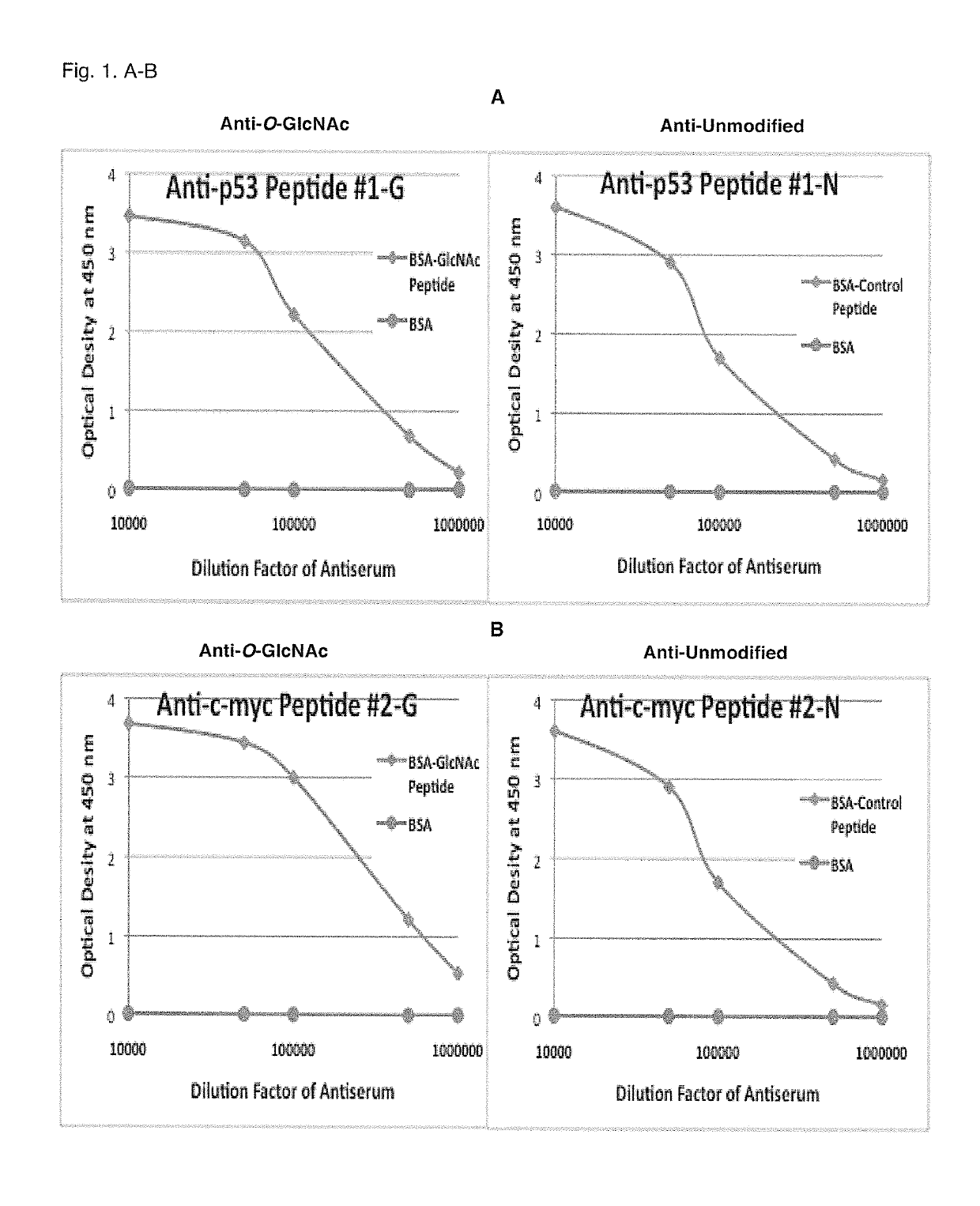 Glycosylation site-specific antibodies and anti-cancer compounds