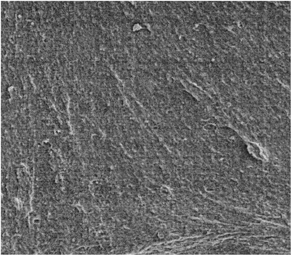 Super-toughened nylon 66 nano composite material prepared by in situ compatibilization and preparation method thereof