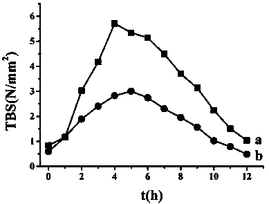 False tooth adhesive and preparation method thereof