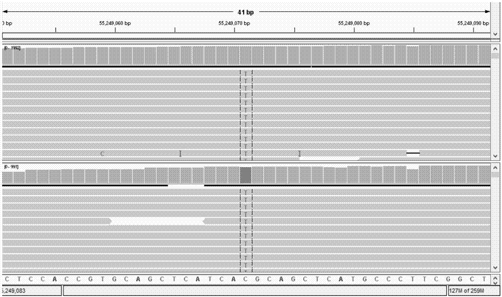 Targeted capturing and sequencing kit for 33 lung cancer-related genes and application of targeted capturing and sequencing kit