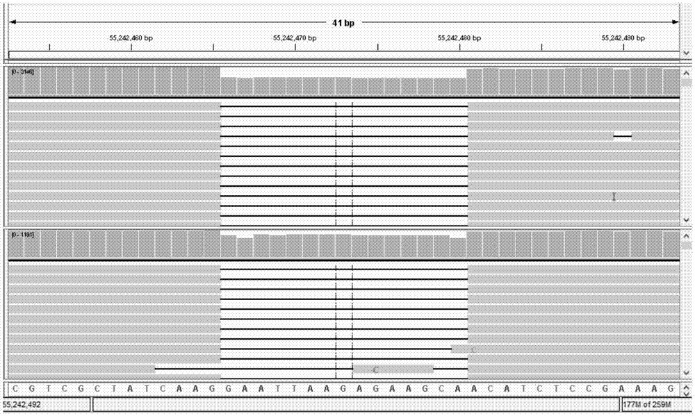 Targeted capturing and sequencing kit for 33 lung cancer-related genes and application of targeted capturing and sequencing kit