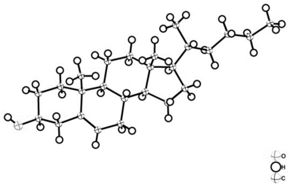 Steroid compounds in podocarpus nagi leaves as well as extraction method and application of steroid compounds