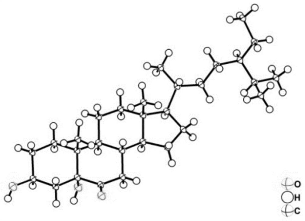 Steroid compounds in podocarpus nagi leaves as well as extraction method and application of steroid compounds