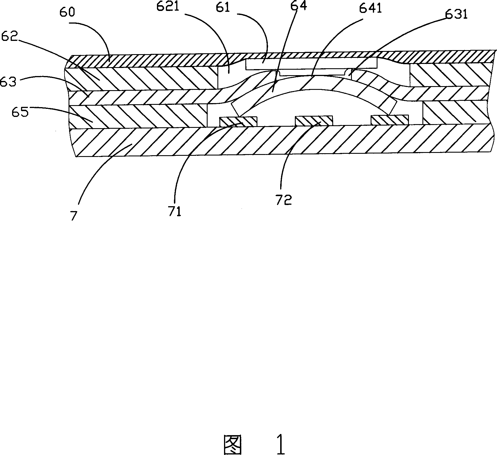 Switch device with flexible thin slice