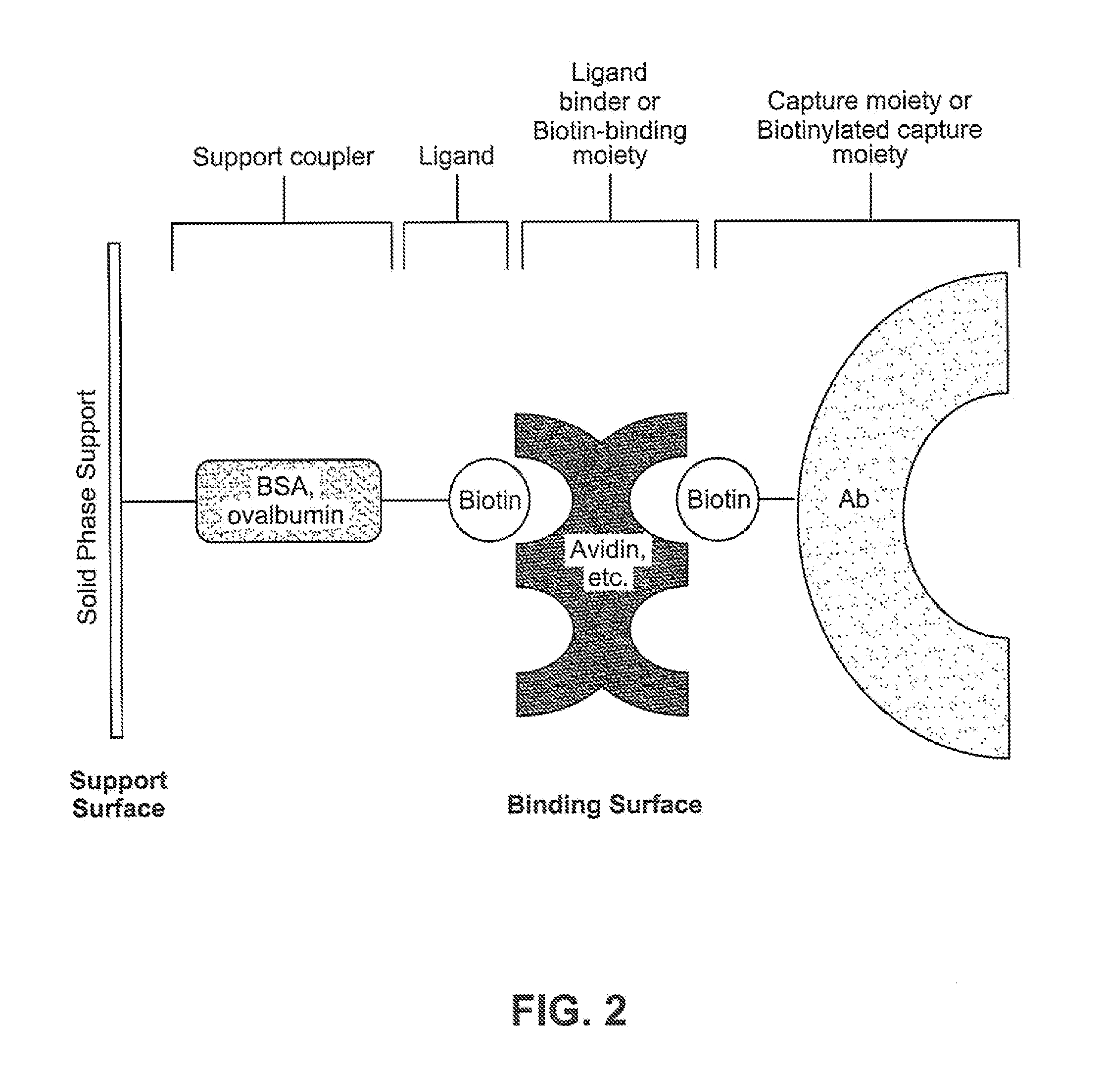 Binding Surfaces for Affinity Assays